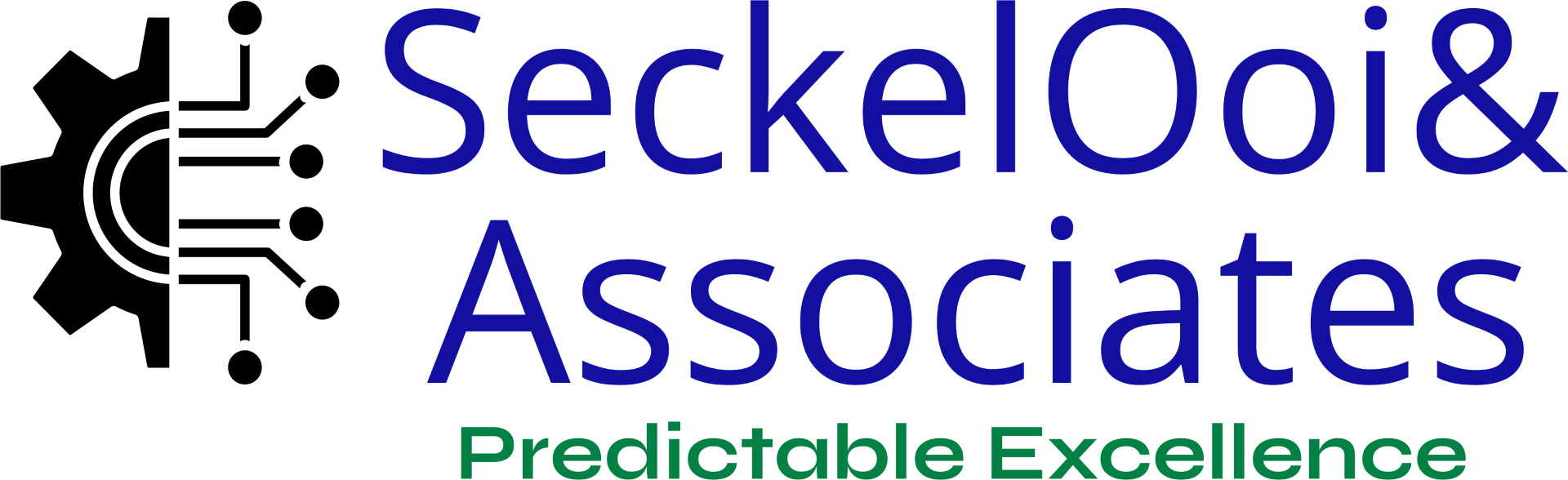 Seckel Ooi & Associates LLC