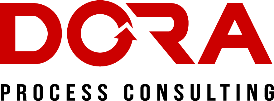 Dora Process Consulting Inc.